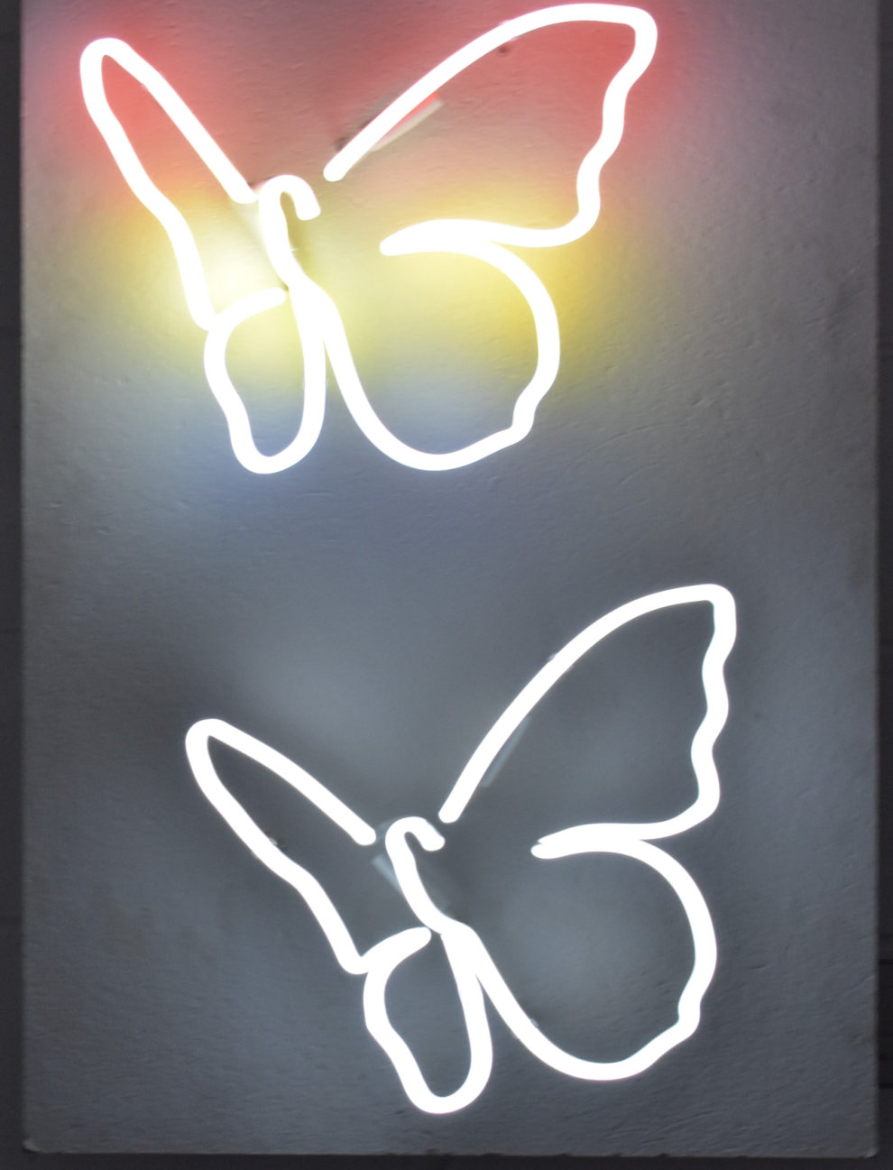 The Butterfly Effect - Steven Cole Neon Artist