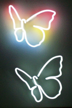 The Butterfly Effect -Neon Art by Steven Cole